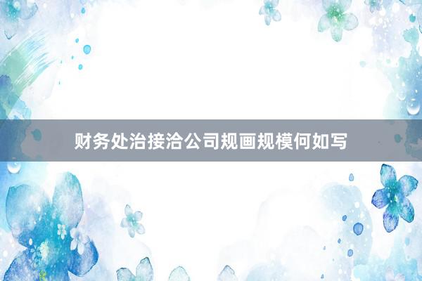 财务处治接洽公司规画规模何如写
