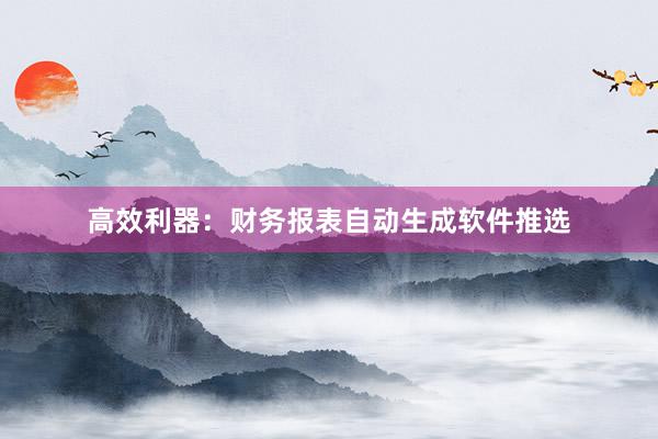 高效利器：财务报表自动生成软件推选